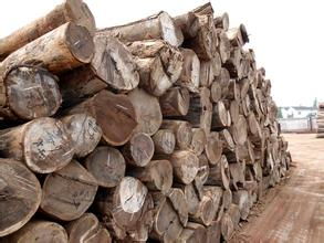 深圳木材進(jìn)口報(bào)關(guān)公司圖片,深圳木材進(jìn)口報(bào)關(guān)公司高清圖片 洽源木材進(jìn)口報(bào)關(guān)報(bào)檢代理公司,