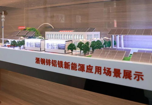 市領(lǐng)導(dǎo)調(diào)研市區(qū)重點企業(yè)